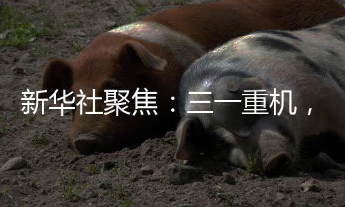促进了区域经济的新华繁荣