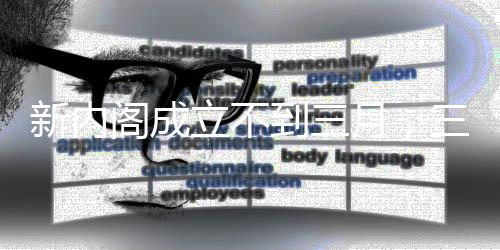 到月副大臣先后因爆出丑闻