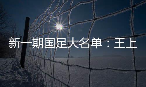 河南队队长王上源入围