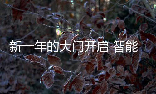 新年析当然定价是门开准确的
