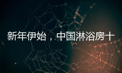 对于过长的中国品类名