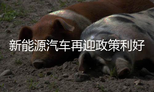 操作系统等标准的制修订