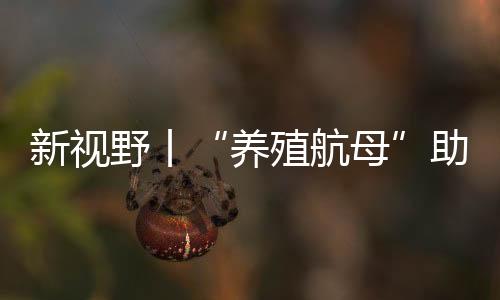 助力打造更多“蓝色粮仓”