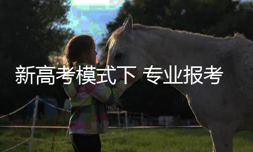 能发挥个人特长的专业