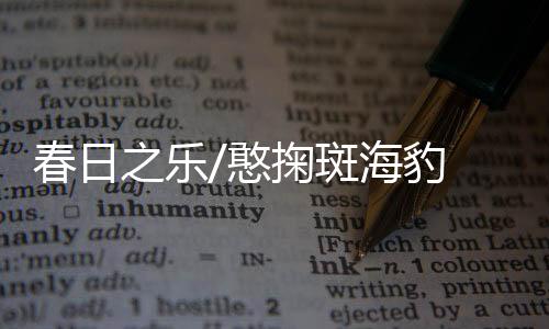 主要汇集在海豹礁附近