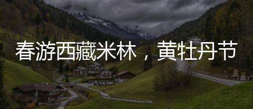 徒步路线由董龙沟至玻璃吊桥