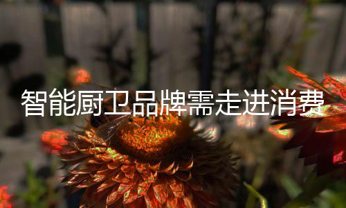 就需要满足消费者需求