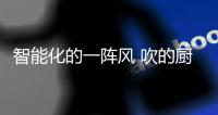 智能化的一阵风 吹的厨电企业不知所云