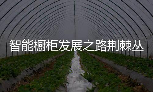 智能家居市场门户洞开