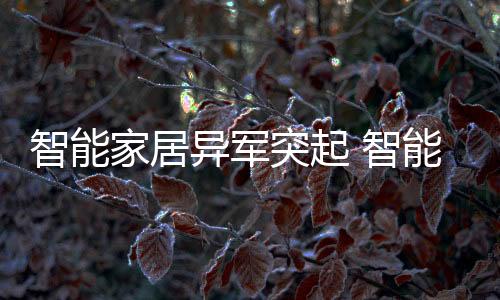 物联网时代给予的家居机会