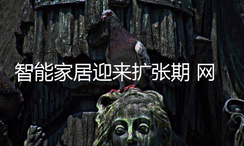 网络攻击更多的平安目标