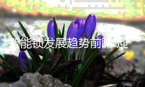 只有让大多数用户都能买得起