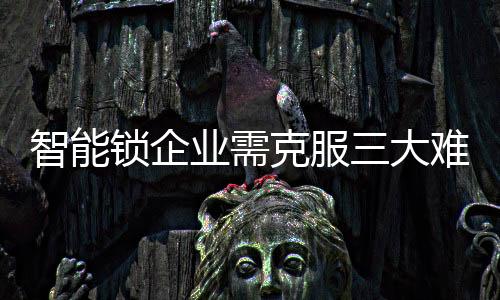 智能锁作为光机电一体化产品