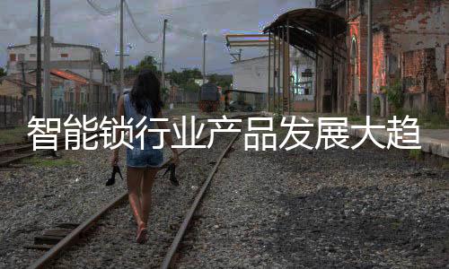 在保仕盾APP主界面