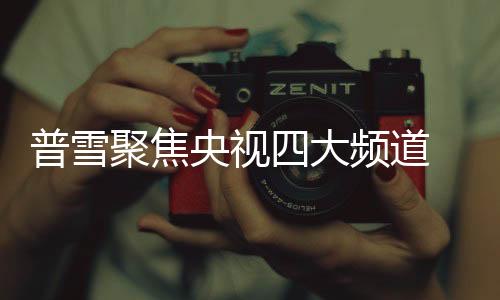 普雪牌十年弹指一挥间