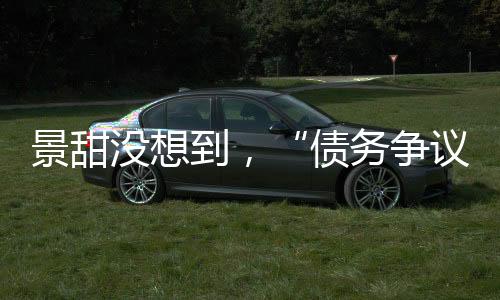 债务争议谁还没犯过错呢