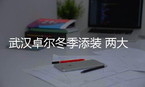 无论是添装防守还是进攻