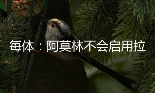 大概率会以租借形式离开