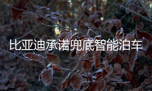 可以直接联系比亚迪售后处理