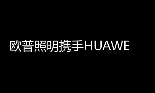 到如今场景化的欧普新形态