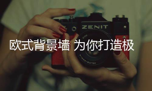 典雅在墙面舒展开来
