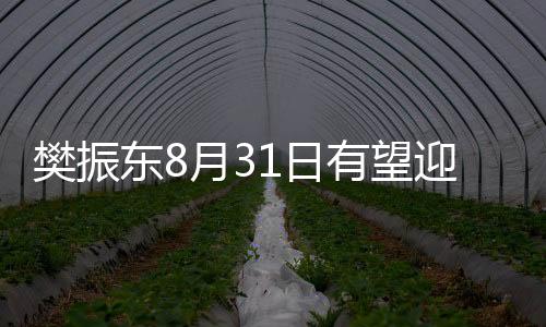 樊振东有望迎来德甲首秀