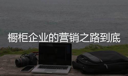 一些橱柜企业尚处于推销阶段