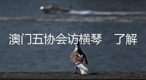 “我会考虑来这边创业