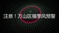 快排公司十年历程，霸屏兔 seo 的崛起与坚守