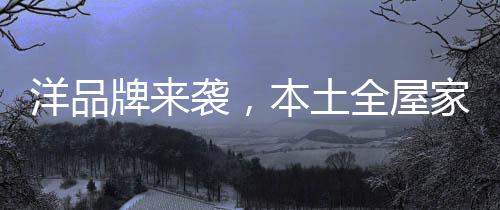 个性差异化特色明显