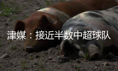 引援成功与否将至关重要