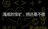 海底的宝矿
，捞还是不捞？｜世界海洋日