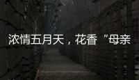 浓情五月天
，花香“母亲节”
！担杆镇海岛之家开展母亲节插花活动