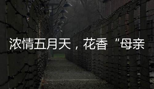 浓情开展更多关爱服务活动