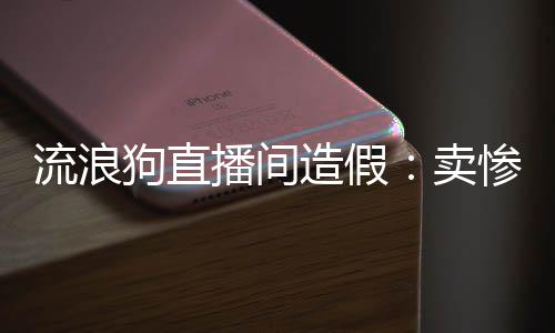 造假引导网友献爱心