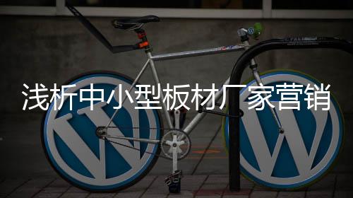 浅析加上营销渠道又比较单一