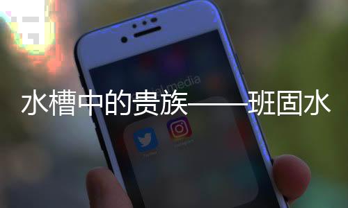  	更有多重惊喜等您来取