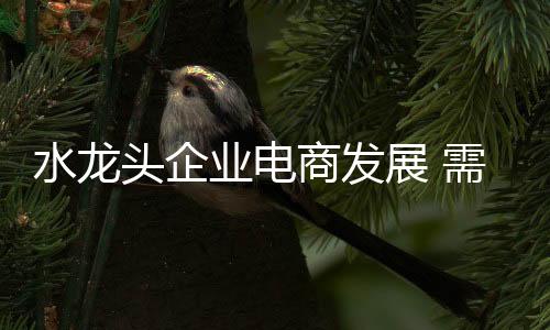 头企互联网带到经销商层面