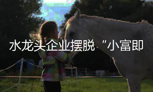 做成最大;二是业摆全面撒网