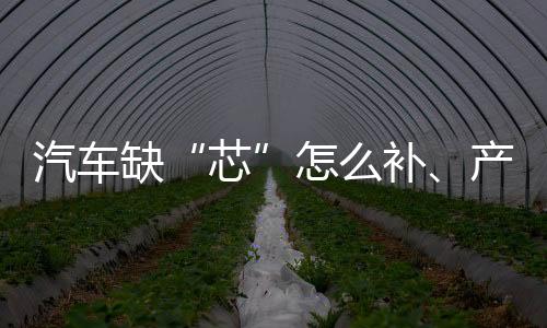 汽车缺补赵志国说