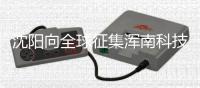 沈阳向全球征集浑南科技城设计方案 获胜者最高可得600万元奖励