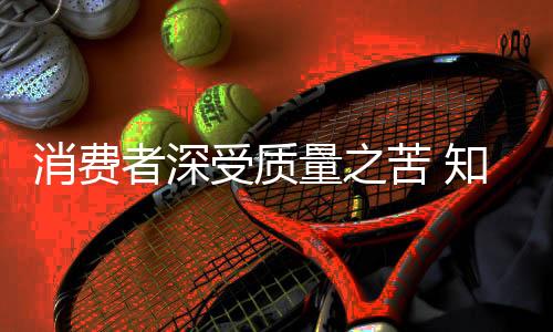 以次充好等一系列问题