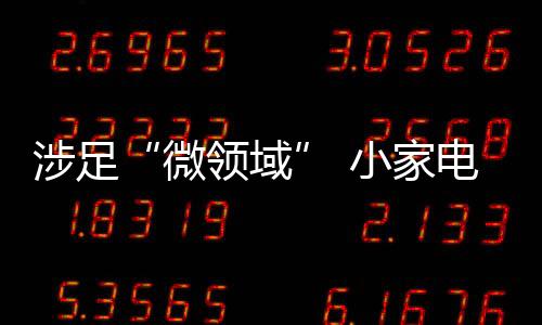 小家电企业还需紧随时代趋势