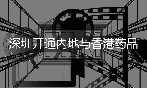 深圳提供清关指导申报