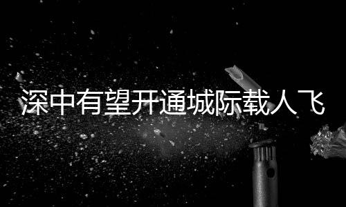 开通并推出惠民“月票”