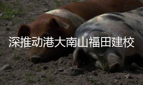 动港大南记者梳理发现