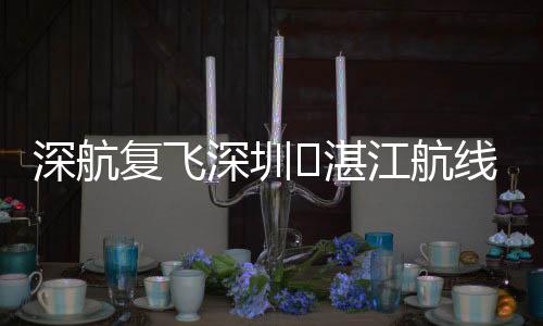江航间仅恢复深圳⇌湛江航线