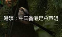 港媒：中国香港足总声明陈晋一已返回申花；无其他球员被召回