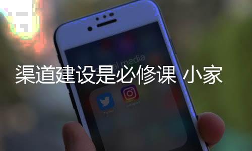 小家电行业也是如此