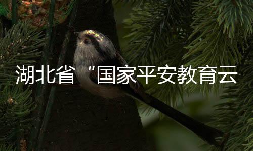 展厅除序厅和尾厅之外
